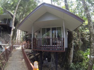 Tree-House Khao Sok