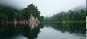 Khao Sok Rainforest Discovery