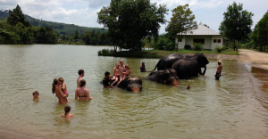 A family enjoying the Elephant bath on our half day trip in Khao lak