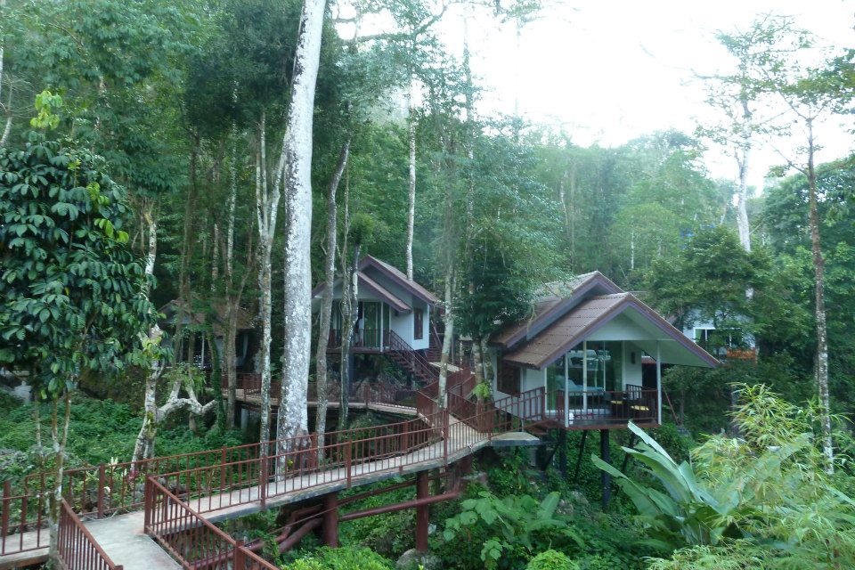Khao Sok Tree House