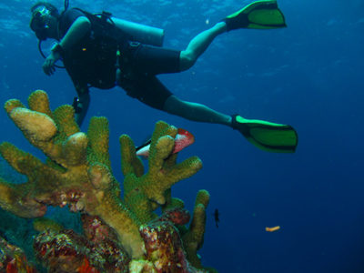 diving Similan islands