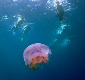 Snorkeling Mergui Archipelago.