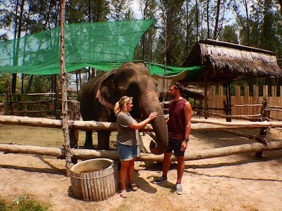 Elephant care