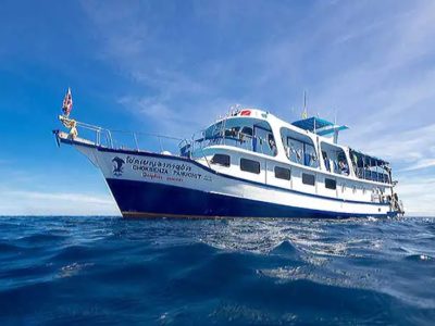 MV Dolphin Queen Similan Liveaboard