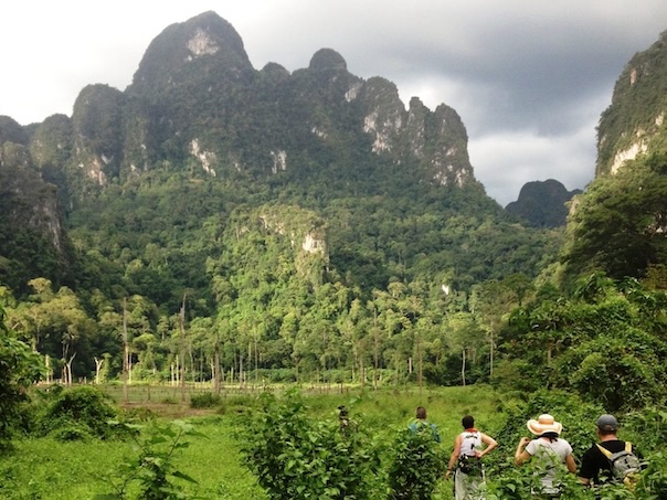 Trekking in Khao Sok jungle